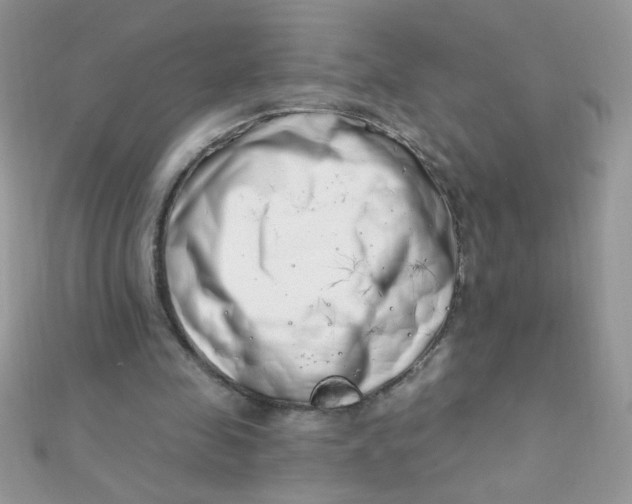 X0000112390341200909032018