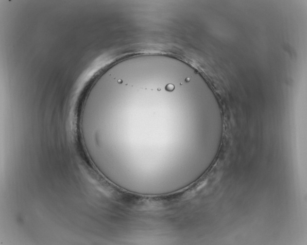 X0000112390343200909032018
