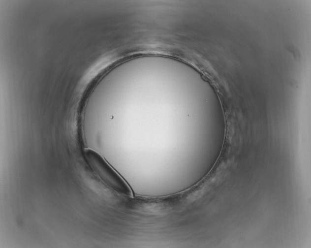 X0000112390344200909032018