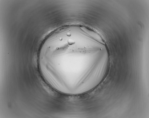 X0000112390345200909032018