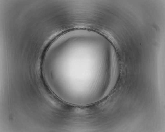 X0000112390346200909032018