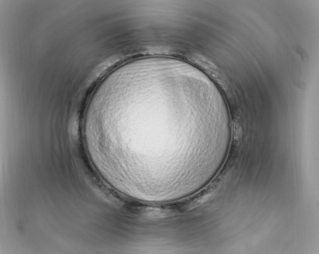 X0000112390347200909032018