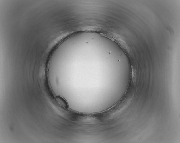 X0000112390348200909032018