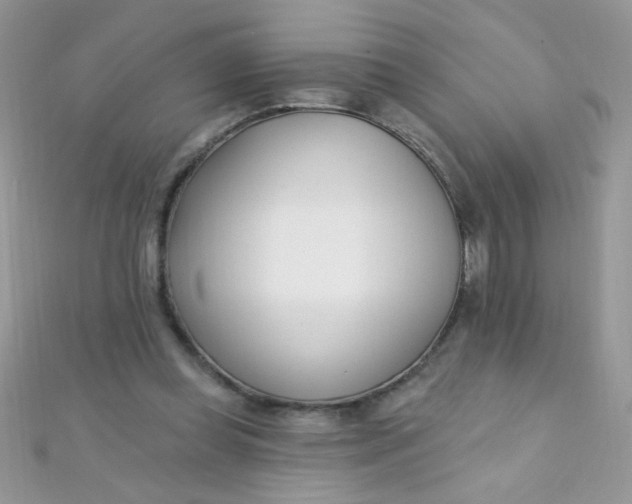 X0000112390349200909032018