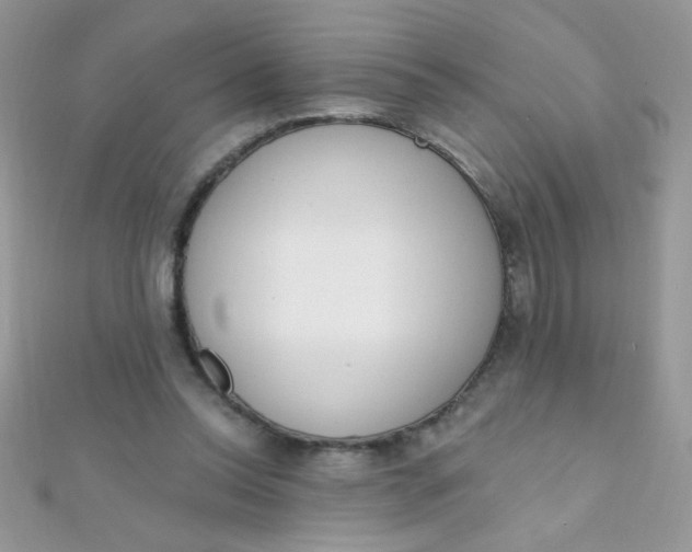 X0000112390350200909032018