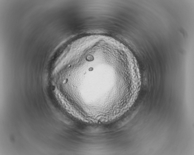 X0000112390351200909032018