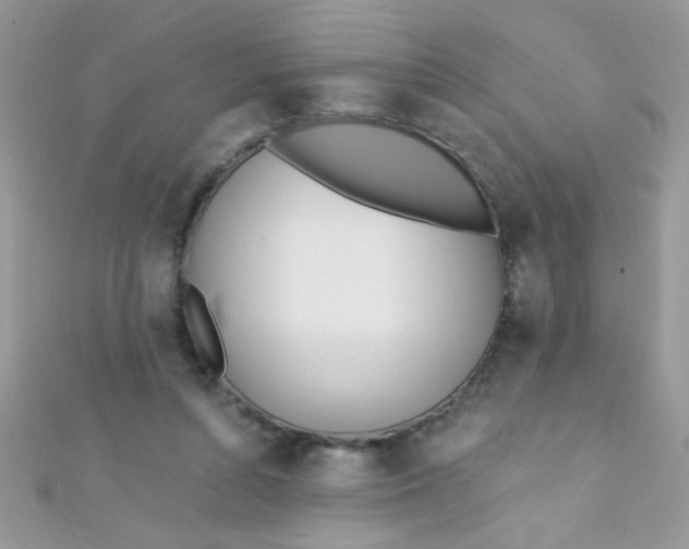 X0000112390352200909032018