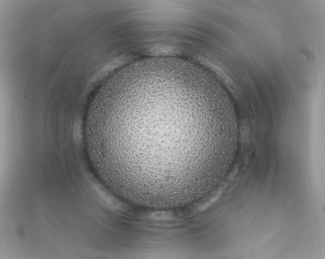 X0000112390353200909032018
