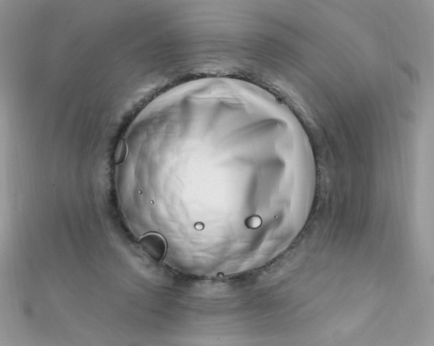 X0000112390354200909032018