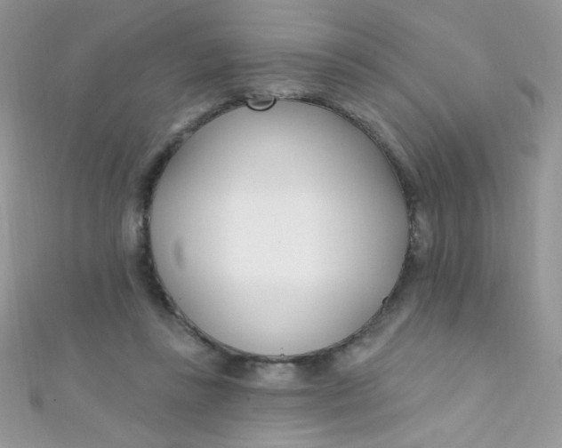 X0000112390355200909032018