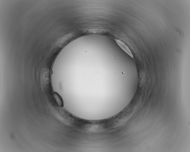X0000112390356200909032018