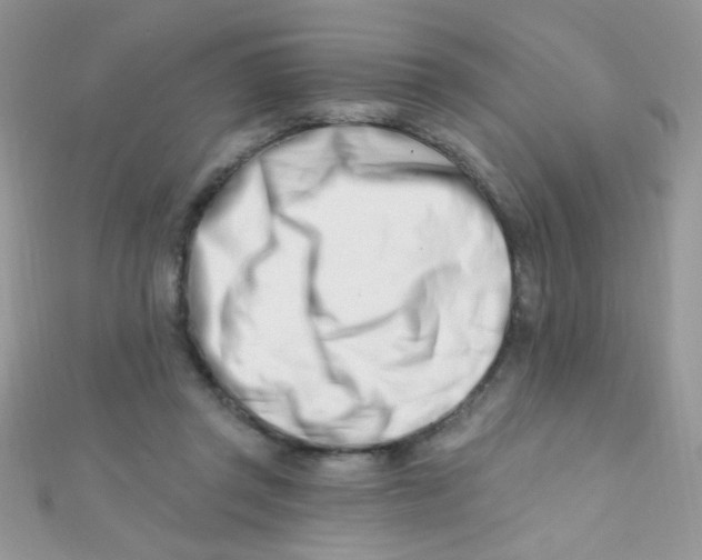 X0000112390357200909032018