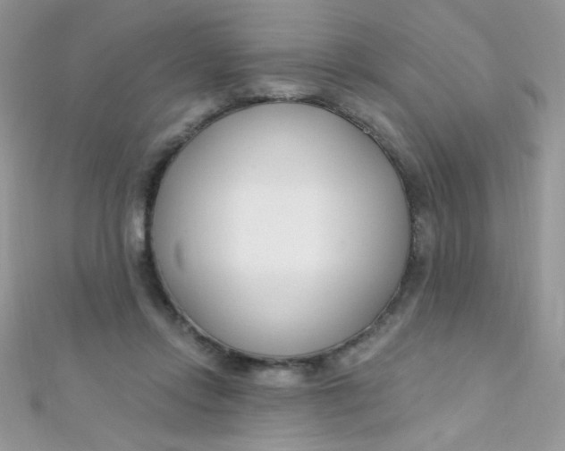 X0000112390358200909032018
