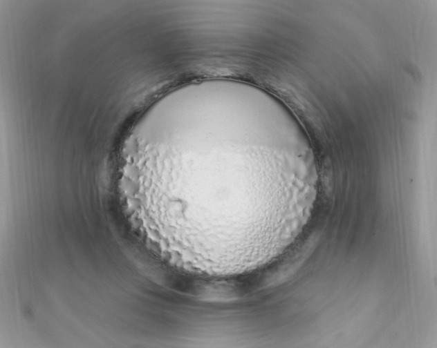 X0000112390359200909032018