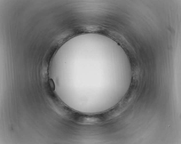 X0000112390360200909032018