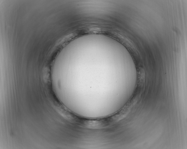 X0000112390361200909032018