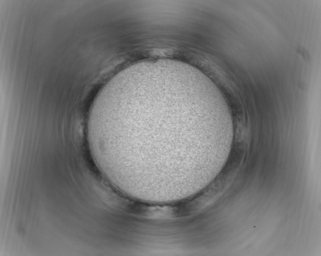 X0000112390363200909032018