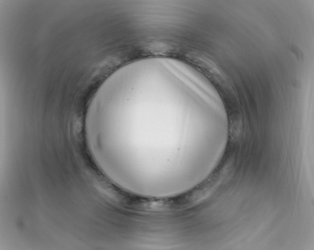 X0000112390365200909032018