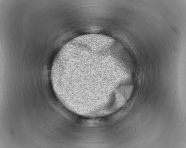 X0000112390366200909032018