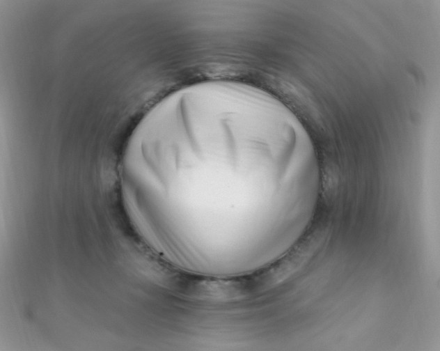 X0000112390367200909032018