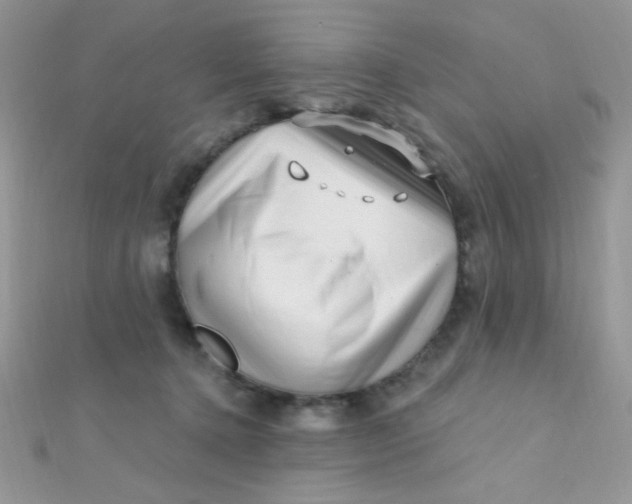 X0000112390368200909032018