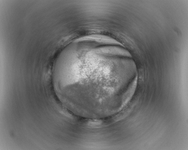 X0000112390369200909032018