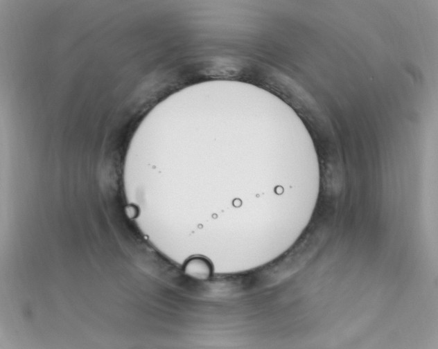 X0000112390370200909032018