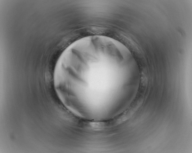 X0000112390371200909032018