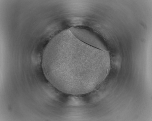 X0000112390372200909032018