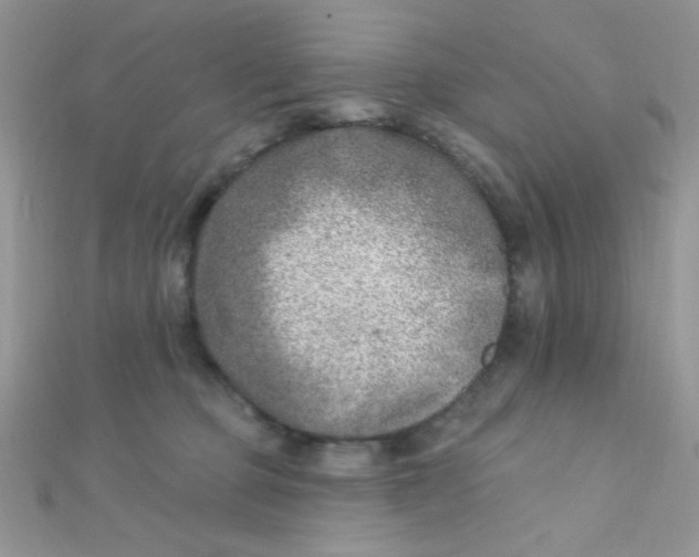 X0000112390373200909032018