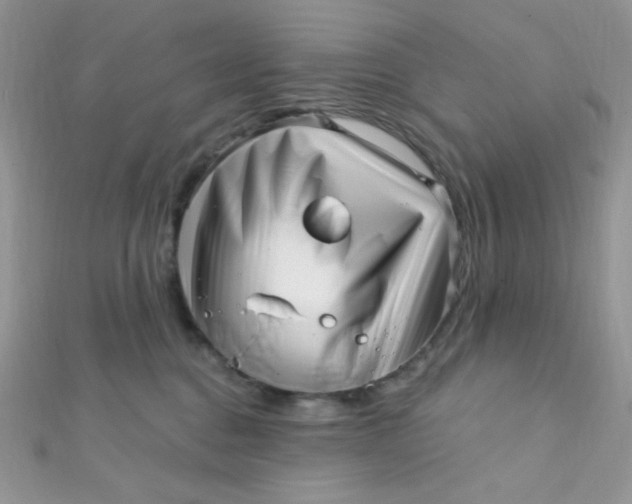 X0000112390376200909032019
