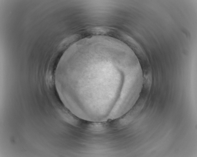 X0000112390381200909032019