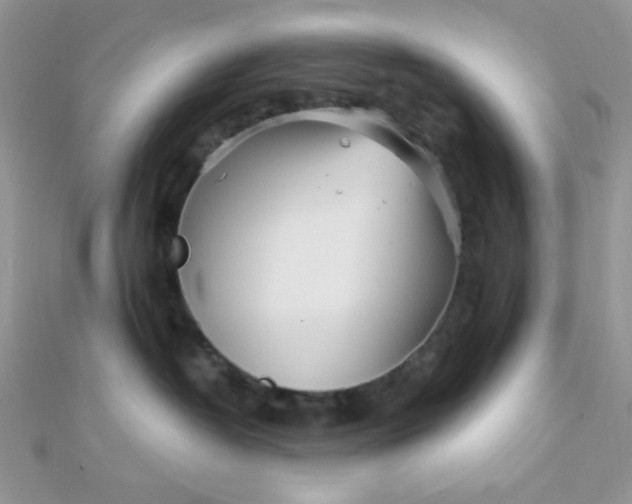 X0000112390382200909032019