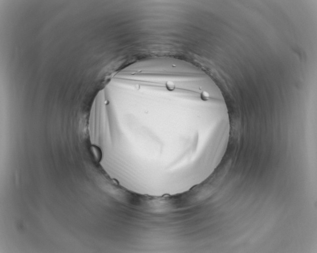 X0000112390383200909032019