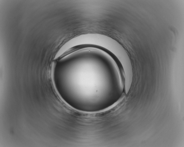 X0000112390384200909032019