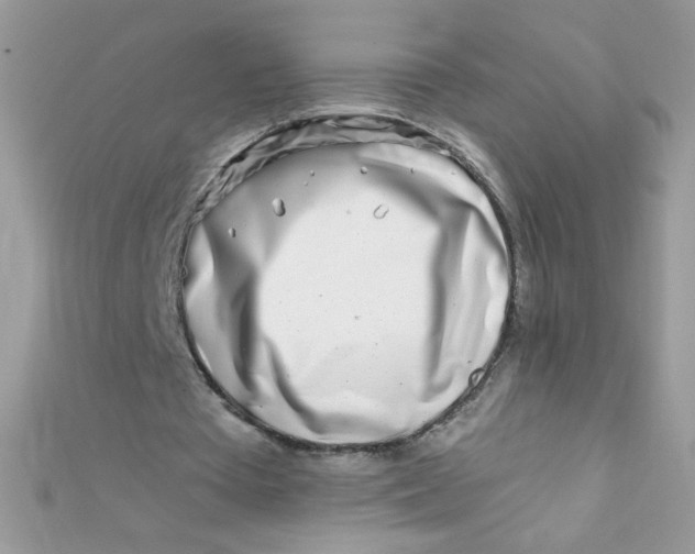 X0000112390385200909032018