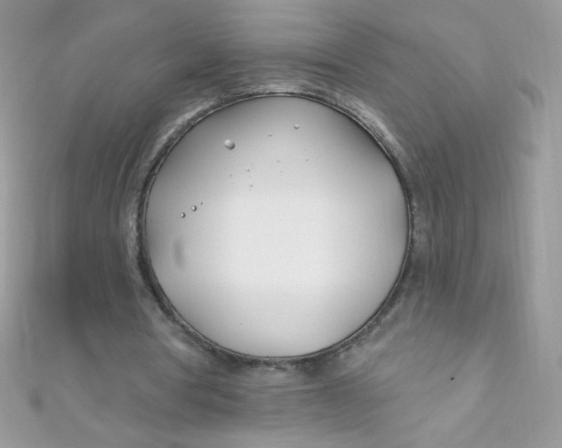X0000112390386200909032018