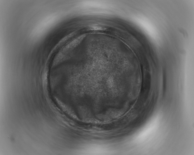 X0000112390387200909032018