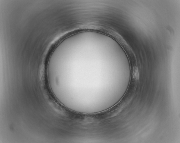 X0000112390388200909032018