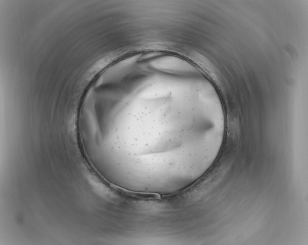 X0000112390389200909032018