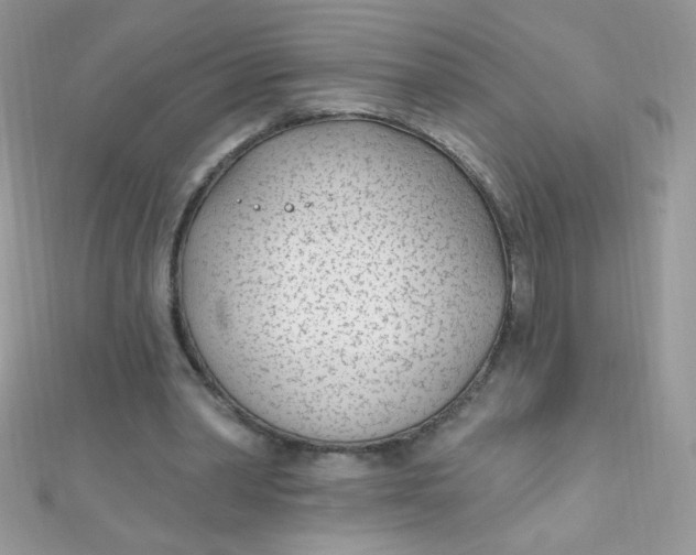 X0000112390390200909032018