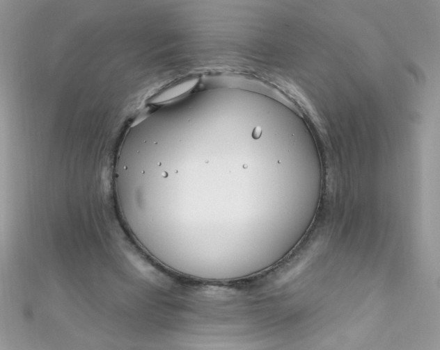 X0000112390393200909032018