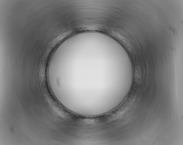 X0000112390394200909032018