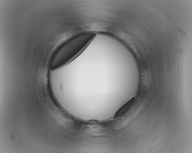 X0000112390395200909032018