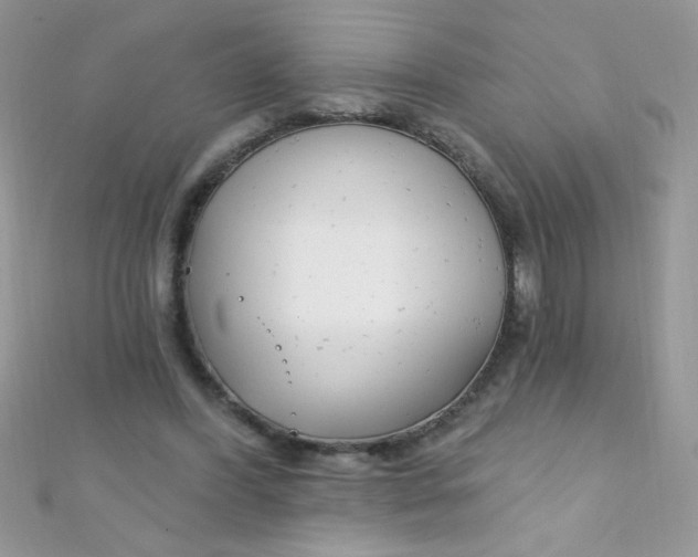 X0000112390396200909032018