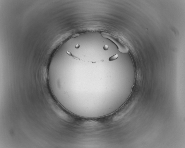 X0000112390397200909032018