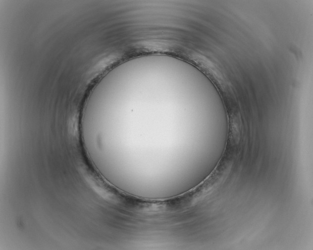 X0000112390398200909032018