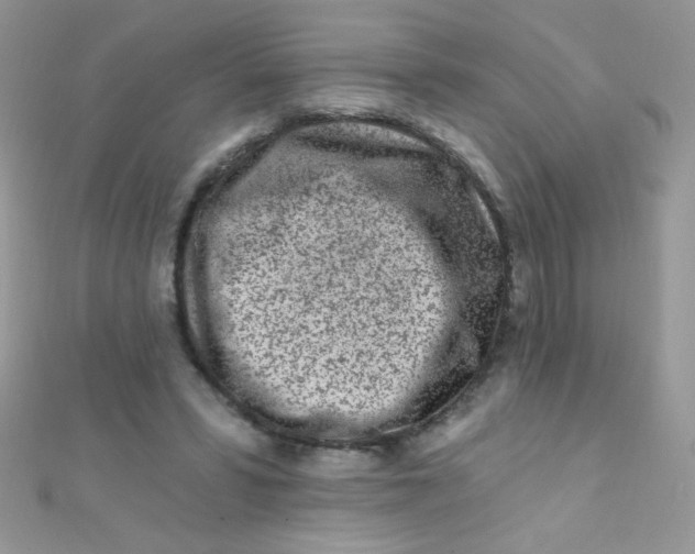X0000112390399200909032018