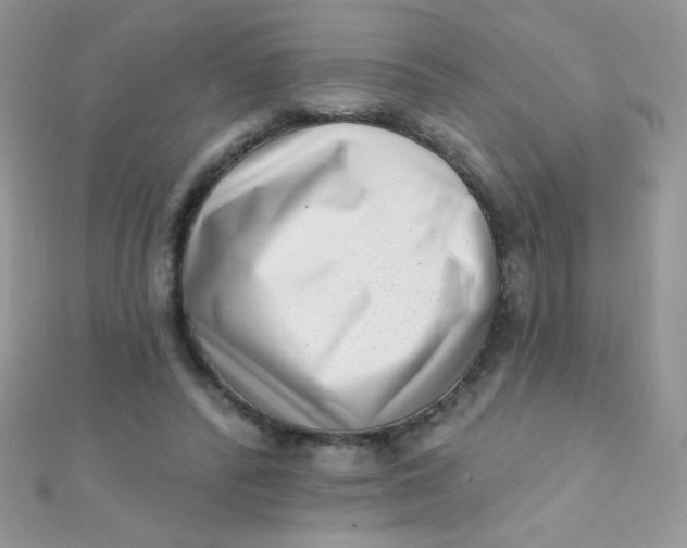 X0000112390400200909032018