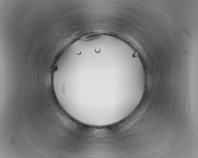 X0000112390401200909032018